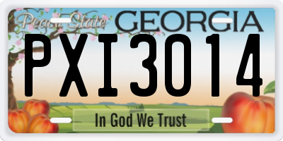 GA license plate PXI3014
