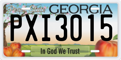 GA license plate PXI3015