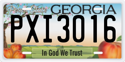 GA license plate PXI3016