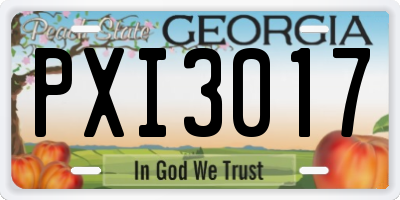 GA license plate PXI3017
