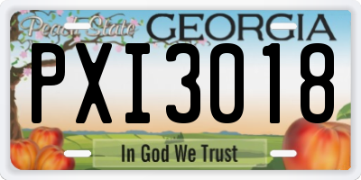 GA license plate PXI3018
