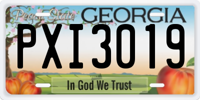 GA license plate PXI3019