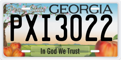 GA license plate PXI3022