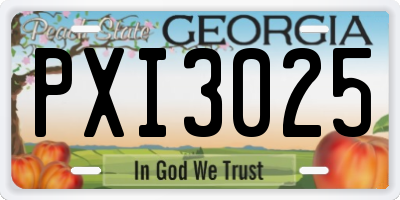 GA license plate PXI3025