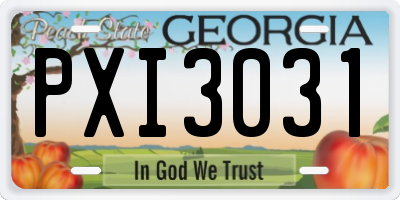 GA license plate PXI3031