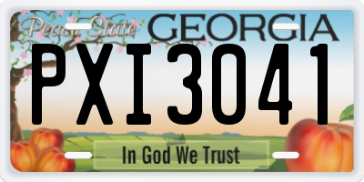 GA license plate PXI3041
