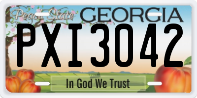 GA license plate PXI3042