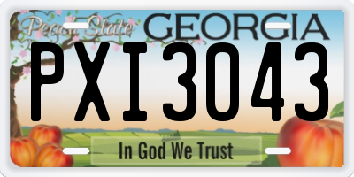 GA license plate PXI3043