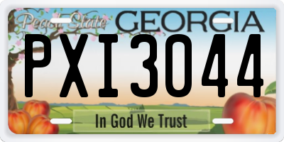 GA license plate PXI3044