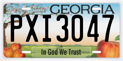 GA license plate PXI3047