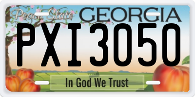 GA license plate PXI3050