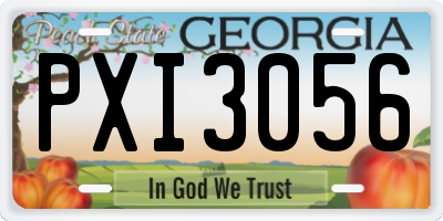 GA license plate PXI3056