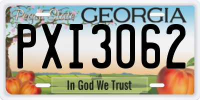 GA license plate PXI3062