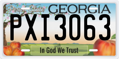 GA license plate PXI3063