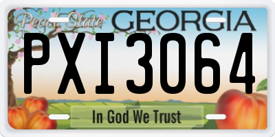 GA license plate PXI3064