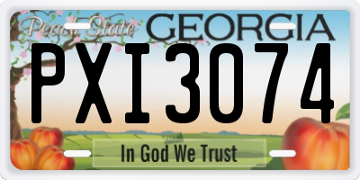 GA license plate PXI3074