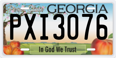 GA license plate PXI3076
