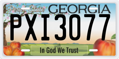 GA license plate PXI3077