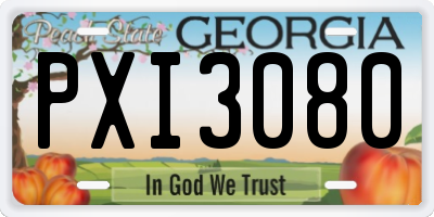GA license plate PXI3080