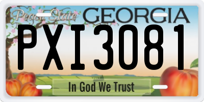 GA license plate PXI3081