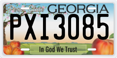 GA license plate PXI3085