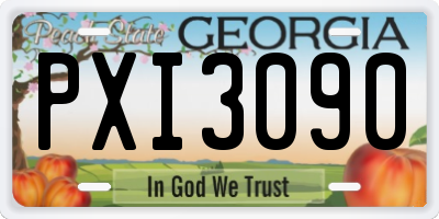 GA license plate PXI3090