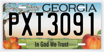 GA license plate PXI3091