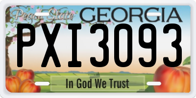GA license plate PXI3093