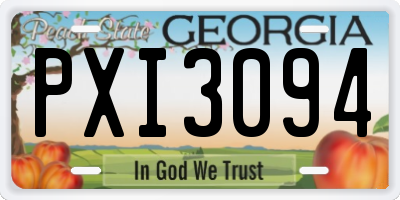 GA license plate PXI3094