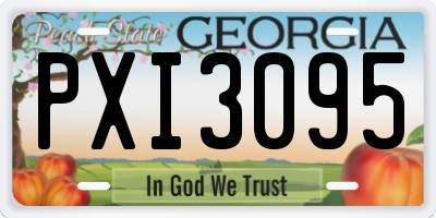 GA license plate PXI3095