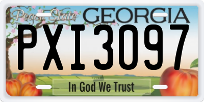 GA license plate PXI3097