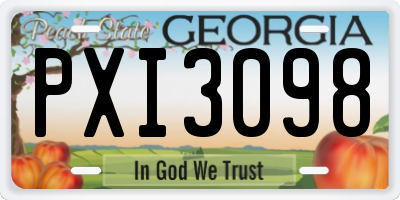 GA license plate PXI3098