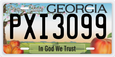 GA license plate PXI3099