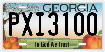 GA license plate PXI3100