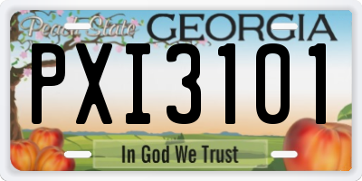 GA license plate PXI3101