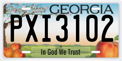 GA license plate PXI3102