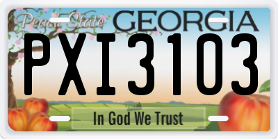 GA license plate PXI3103