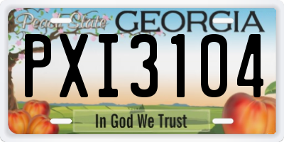 GA license plate PXI3104