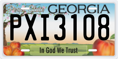 GA license plate PXI3108