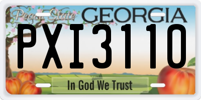 GA license plate PXI3110
