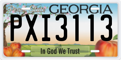 GA license plate PXI3113