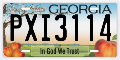 GA license plate PXI3114