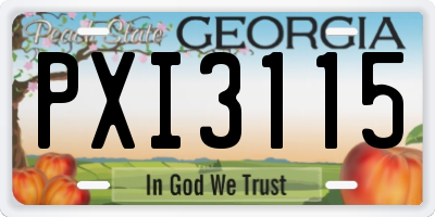 GA license plate PXI3115