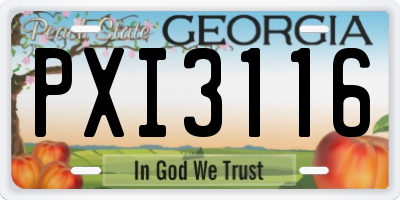 GA license plate PXI3116