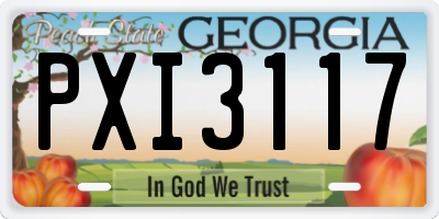 GA license plate PXI3117