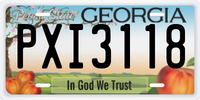 GA license plate PXI3118