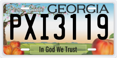 GA license plate PXI3119