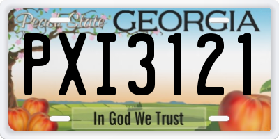 GA license plate PXI3121