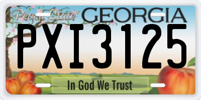 GA license plate PXI3125