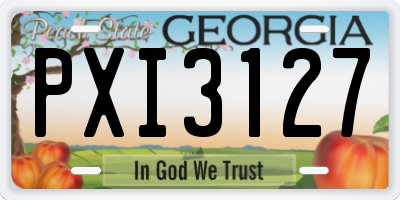 GA license plate PXI3127